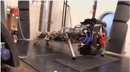 Meet Atlas, DRC Robot