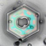 Linden Gledhill – Heart of a&nbsp;Snowflake